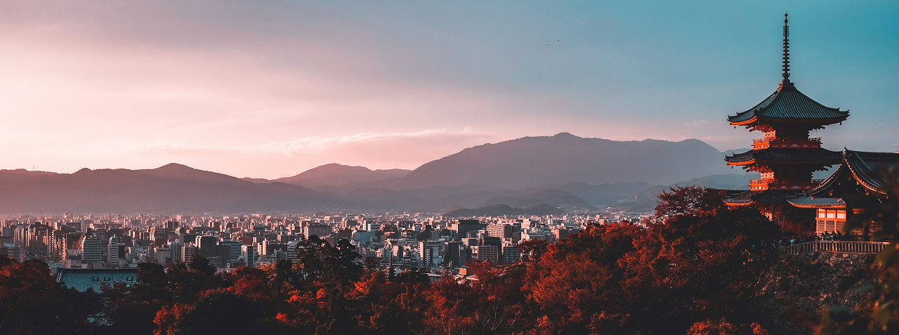 Study in Japan